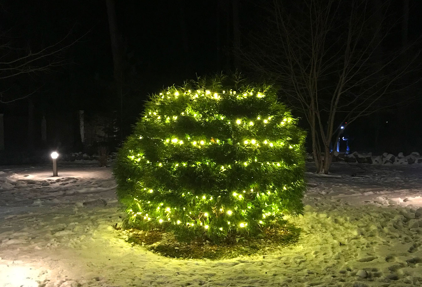Новогоднее световое украшение двора и деревьев