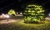 Новогоднее световое украшение двора и деревьев